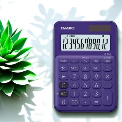 Casıo Hesap Makinesi Masaüstü MS-20UC-PL 12 Hane